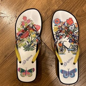 New Brighton Flip Flops